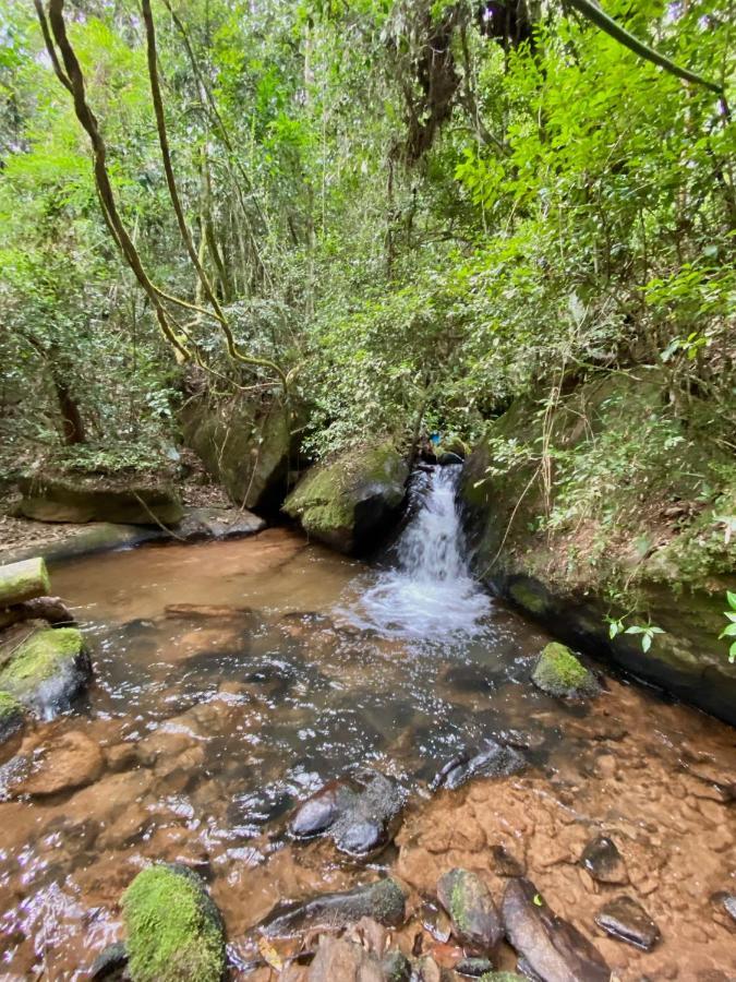 Canto Das Aguas Alagoa Eksteriør bilde