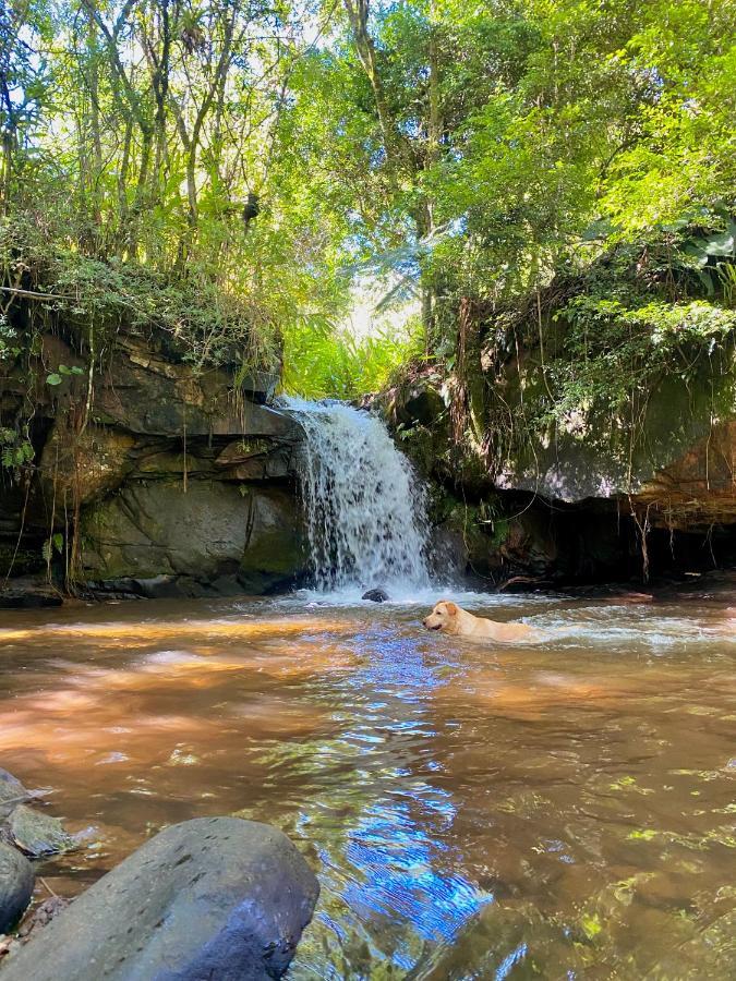 Canto Das Aguas Alagoa Eksteriør bilde